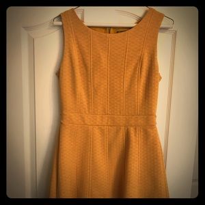 Just Taylor size 4 fit and flare knee length dress